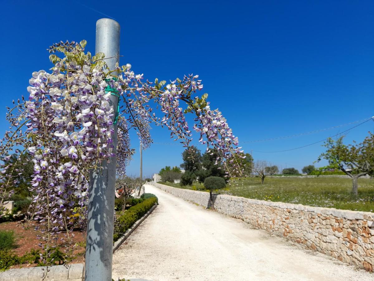 Dimora Verde B Con Trullo Masseria Poesia チステルニーノ エクステリア 写真